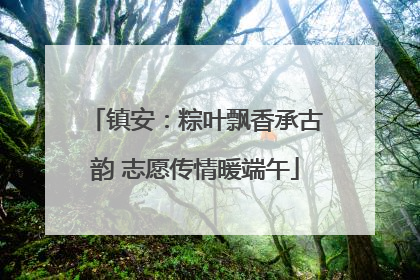 镇安：粽叶飘香承古韵 志愿传情暖端午